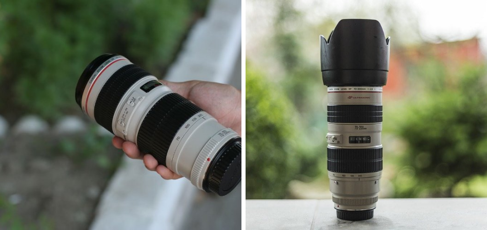 Zoom Vs. Telephoto Lens