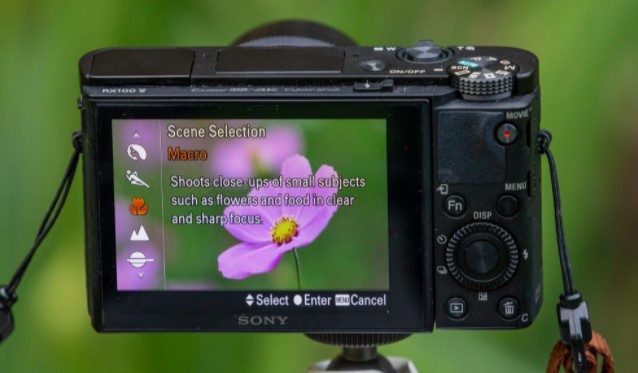 Overview of Point and Shoot Cameras