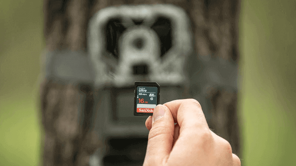 Trail Camera storage Memory Card