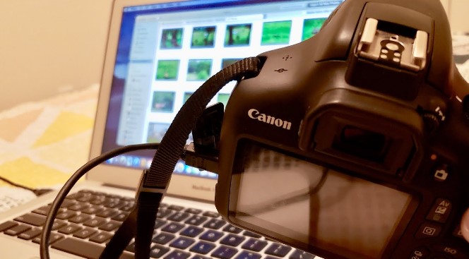 How To Transfer Photos From Canon To Macbook