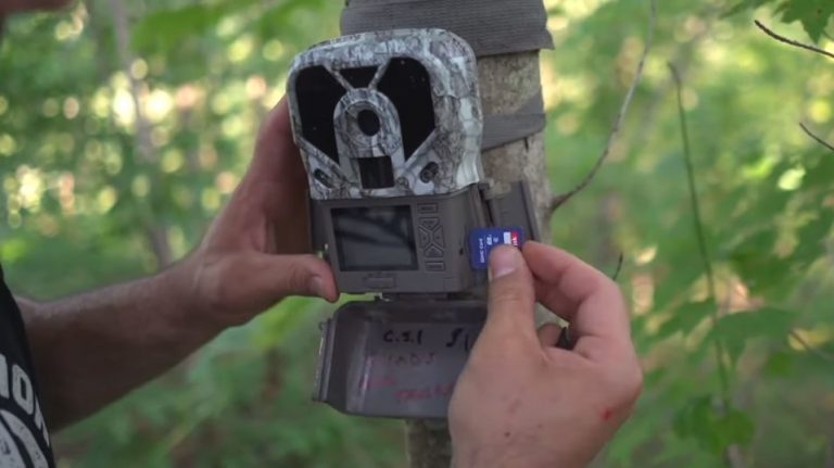 How To Fix Wildgame Innovations Camera Will Not Turn On – Wise Photographer