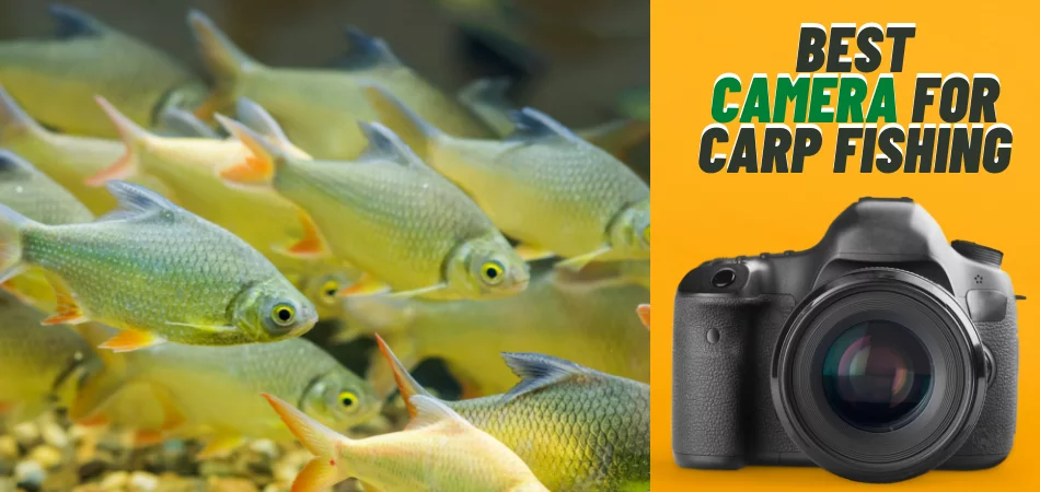 Best Camera for Carp Fishing